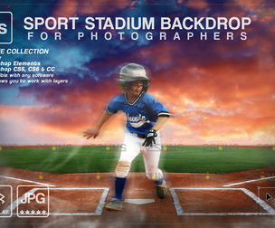 Digital Backdrop BASEBALL Sport Stadium Overlay