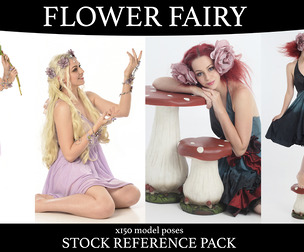 Flower Fairy - Stock Model Reference Pack