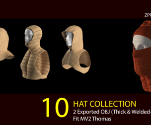 10 HAT'S MODEL PACK . (VOL 01) ZPRJ+OBJ+FBX
