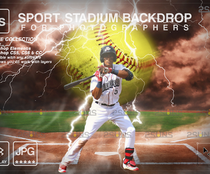 Digital Backdrop SOFTBALL Sport Stadium Overlay