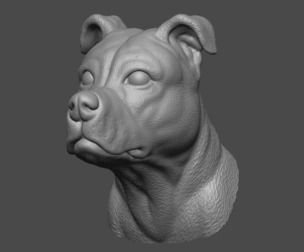 Dog Head 01 - Pitbull