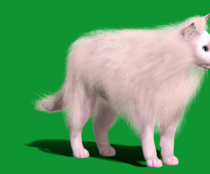 White Cat