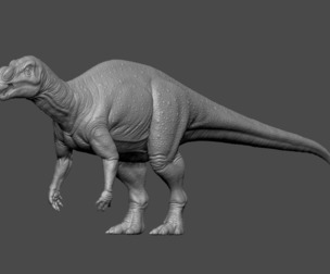Muttaburrasaurus Dinosaur