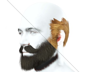 Half Blad Hair - Beard - Mustache