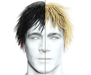 Realistic Long Male Hair