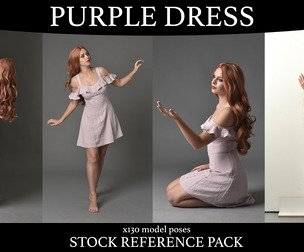 Purple Dress - Stock Model Reference Pack