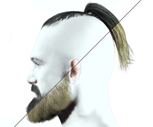 Realistic Mlae Hair - Viking Ponytail Style