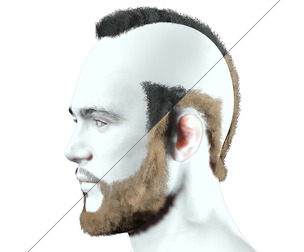 Realistic Male Hairstyle