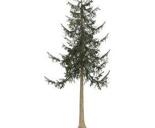 Game Ready Tree 33