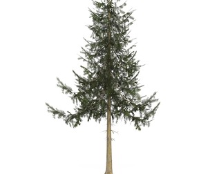 Game Ready Tree 34