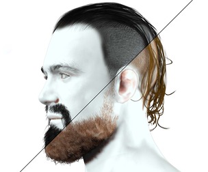 Realistic Shaved Long Hair