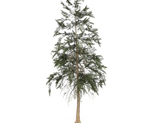 Game Ready Tree 44