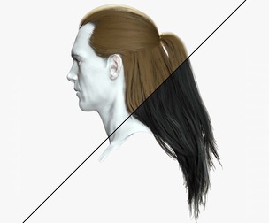 Long Male Hair - Ponytail Half Up