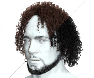 Realistic Male Long Curly Hair
