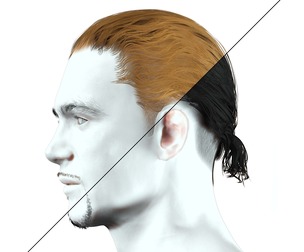 Short Ponytail Hair for Man
