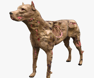 Zombie Dog