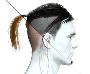Man Hair - Ponytail Shaved Sides