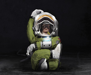 Crimped Chimp - 3D Space Chimp Model