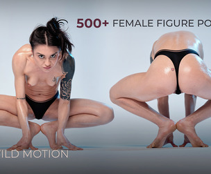 500+ Female Figure Poses - Pri Wild Motion