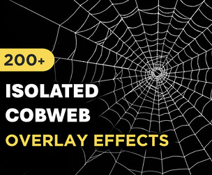 200+ Isolated Cobweb Overlays Effects