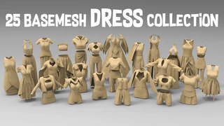 25 basemesh dress collection cover