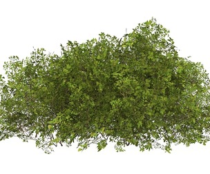 Game Ready Plant Bush 08