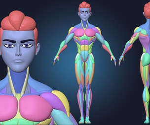 Stylized Male Basemesh Anatomy Blockout Vol 01