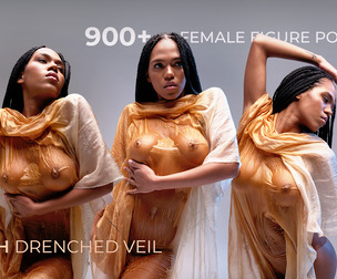 900+ Female Figure Poses - Nath's Drenched Veil