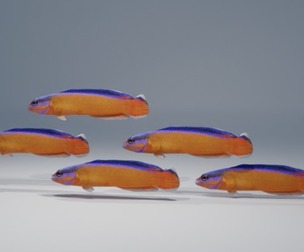 Neon Dotyyback