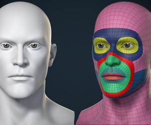 Male Head Basemesh - Game Ready