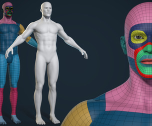 Male Basemesh - Game Ready