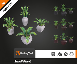 Small Plant