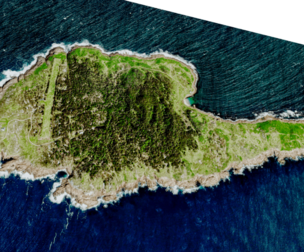 Gabo Island 3d model terrain
