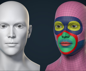 Female Head Basemesh - Game Ready