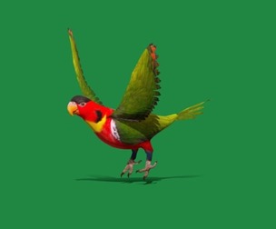 Yellow Bibbed Lory Parrot Bird