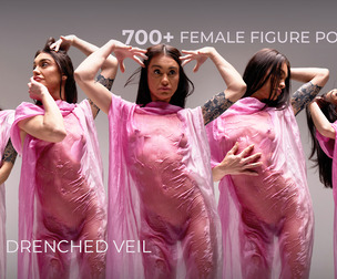 700+ Female Figure Poses - Pri Drenched Veil