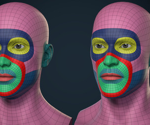 Male And Female Head Basemesh - Game Ready