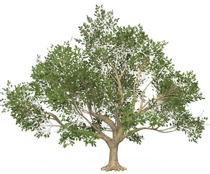 Game Ready Tree 48