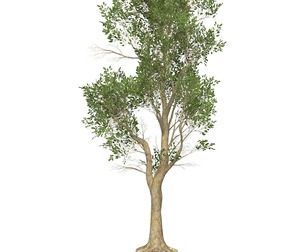Game Ready Tree 49
