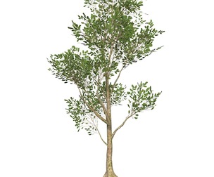 Game Ready Tree 53