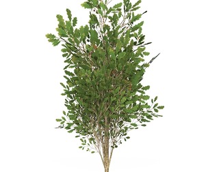 Game Ready Tree 54