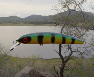 Custom bait