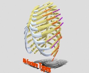 Rib fracture and its types