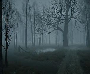 [UE4] Spooky Forest
