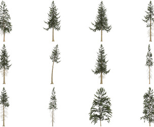 12 Game Ready Pine Tree Collection