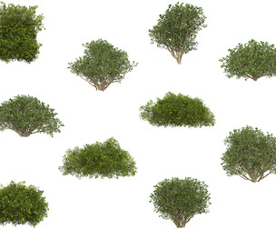 10 Game Ready Plant Bush Collection