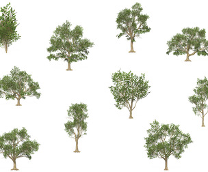 10 Game Ready Big Tree Collection