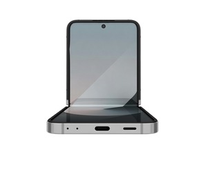 Samsung Galaxy Z Flip 6 Silver Shadow