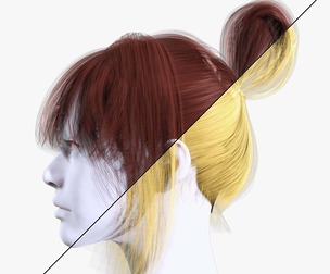 Realistic Women Hairstyle -Bun