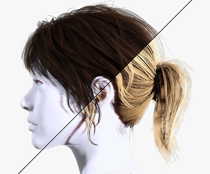 Female Ponytail Hairstyle